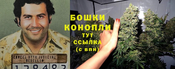 гидропоника Каменск-Шахтинский