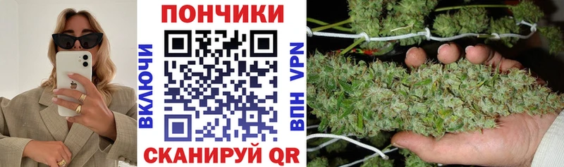 Купить где  Гай  Бошки Шишки Ganja 